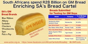 The percentages of GM Soya in your bread.